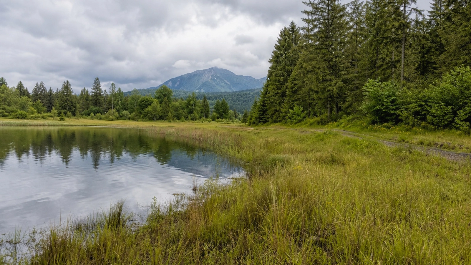 Open Washington land access road near Whatcom County