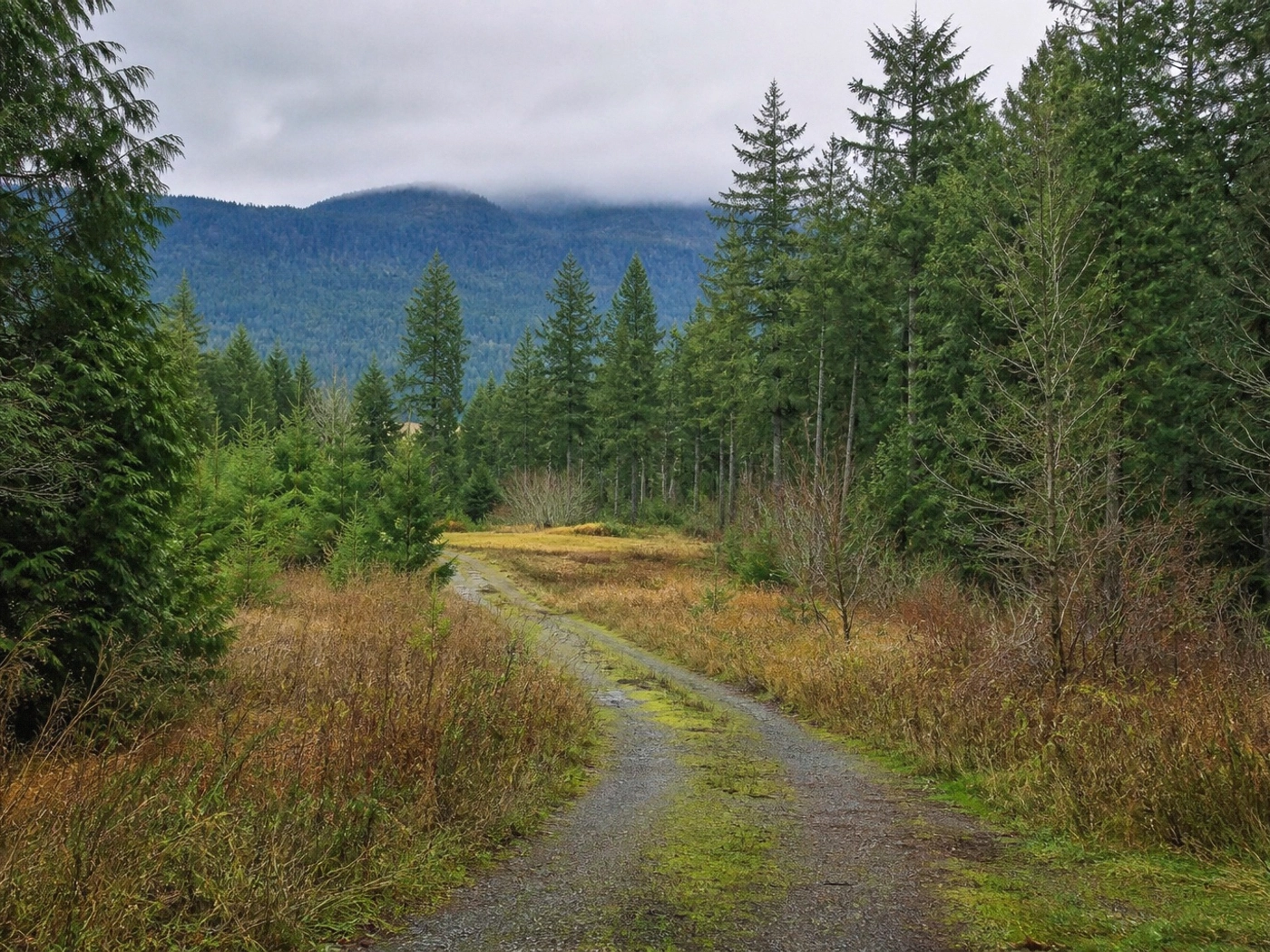 Rural Access Parcels in Whatcom County